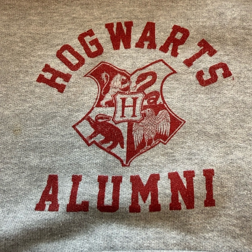 Gray Hogwarts Alumni Hoodie Harry Potter - Picture 2 of 5